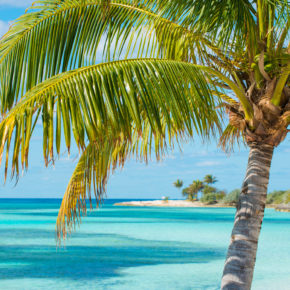 Roundtrip flights to the Bahamas with luggage for only 3944 DKK / 531 €
