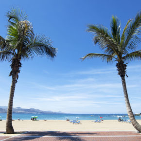 Gran Canaria: 7 days Puerto Rico with 3* hotel, halvpension, flights & transfer for 3381 kr