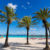 Mallorca Palm Trees Beach