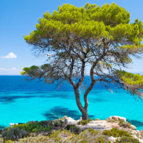 Greece: 8 days at the beach on Chalkidiki with hotel & flights only 761 DKK