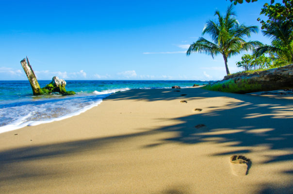 Costa Rica Beach Sea