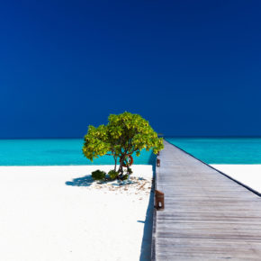 12 days in the amazing Maldives at a great hotel with breakfast & flights only 6599 DKK